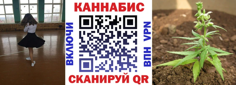 Шишки марихуана марихуана  Кузнецк 